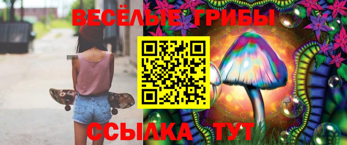 Галлюциногенные грибы Psilocybe Вязники