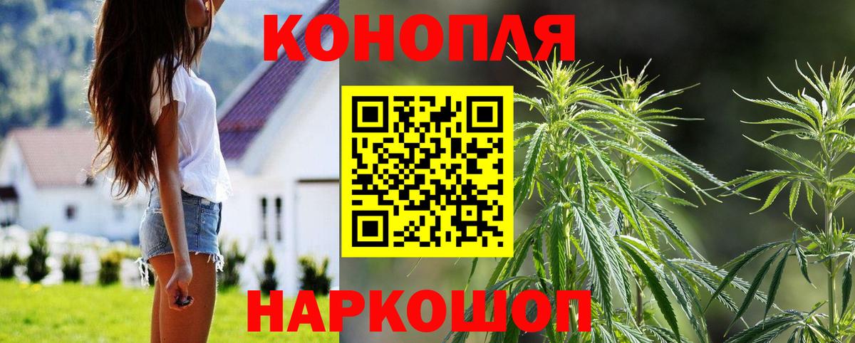 Бошки Шишки Amnesia Вязники